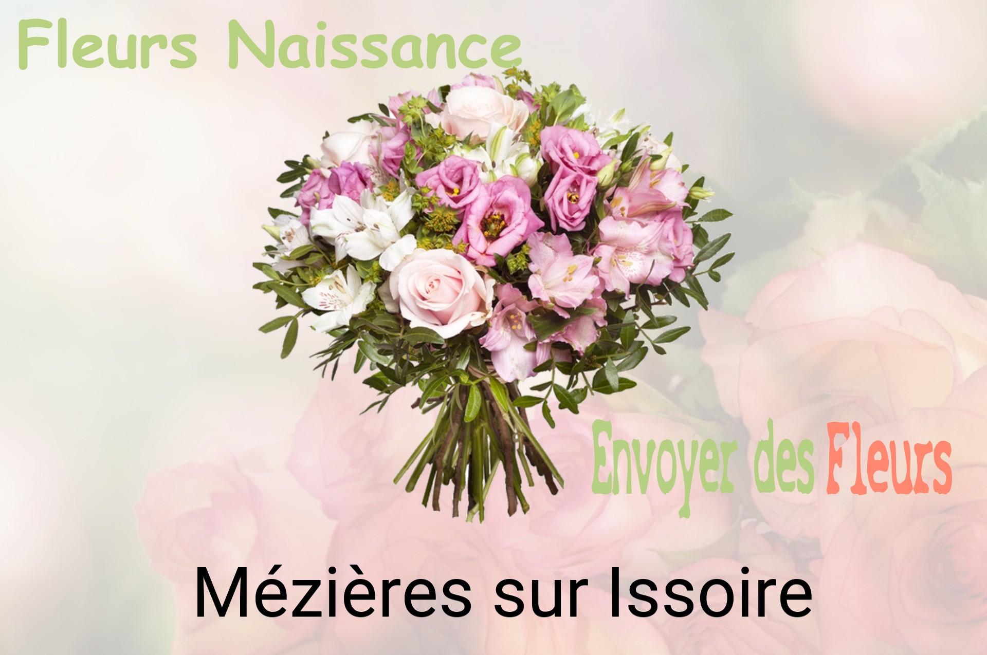 Bouquet de fleurs de naissance livré à Mézières-sur-Issoire