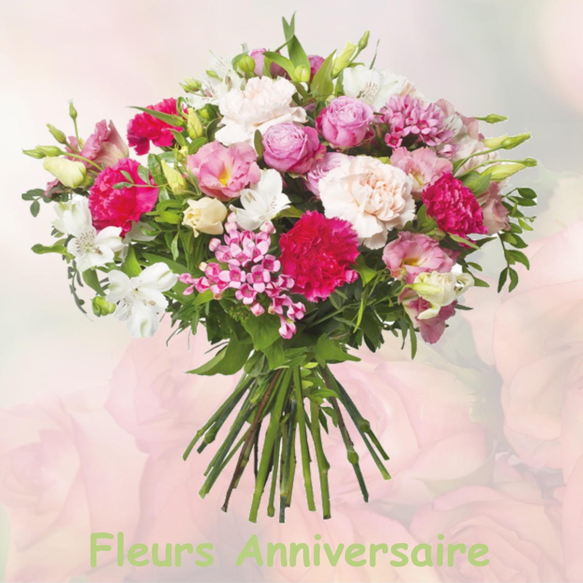 fleurs anniversaire MEZIERES-SUR-ISSOIRE
